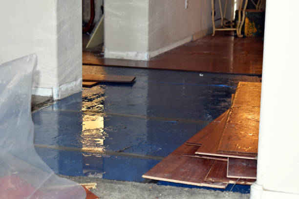 Professional Water Damage Restoration technician working in Forney, TX